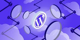 Best WordPress Developer in Pakistan: Complete Guide for 2026